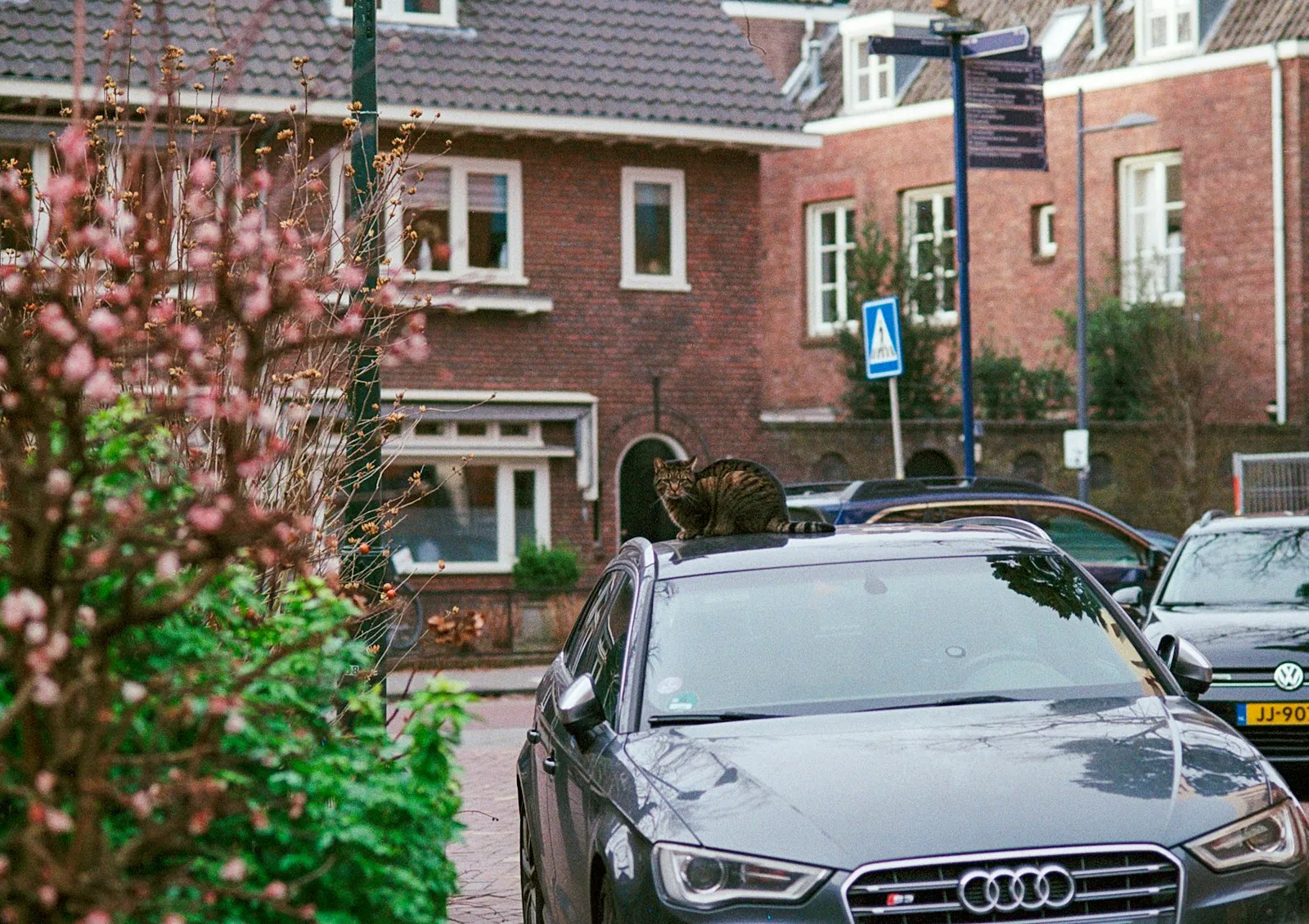 Dynamisch Tarief Laadpas Vergelijken: Thuis vs. Publiek