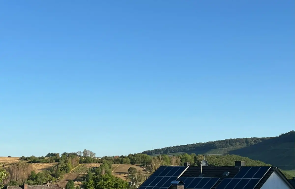 Home Assistant EPEX Automatisering Zonnepanelen: Gids